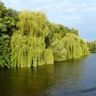 Wieder mal in Berlin: Grossstadtdschungel an der Spree