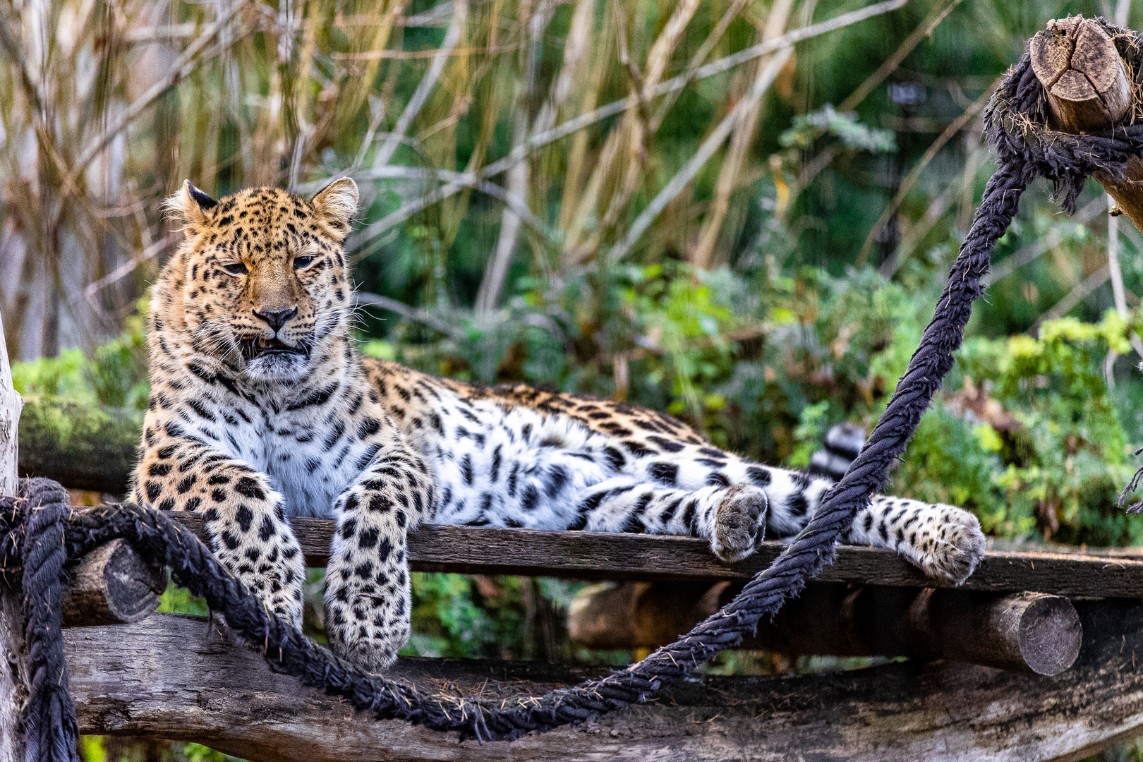 Wieder mal Zoo Leipzig