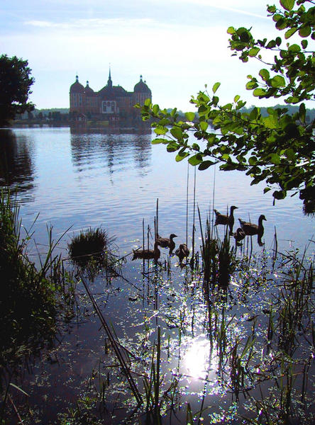 Wieder mal...Moritzburg