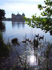 Wieder mal...Moritzburg