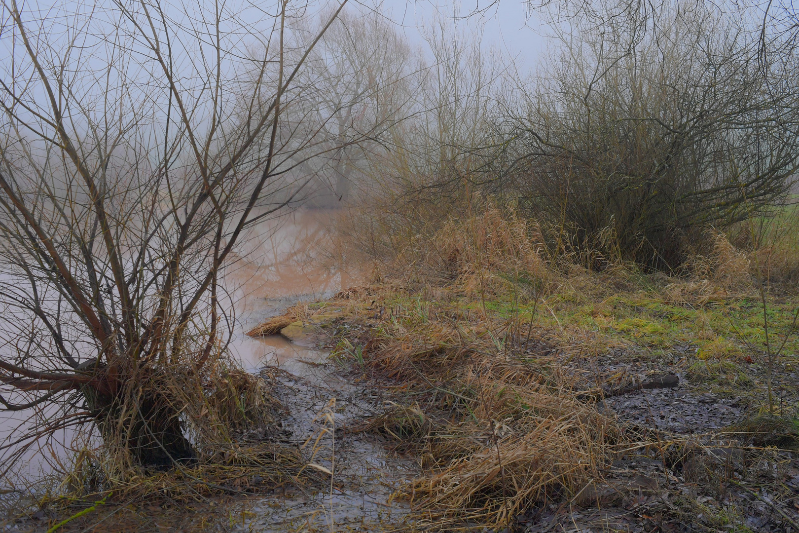 wieder Nebel am See