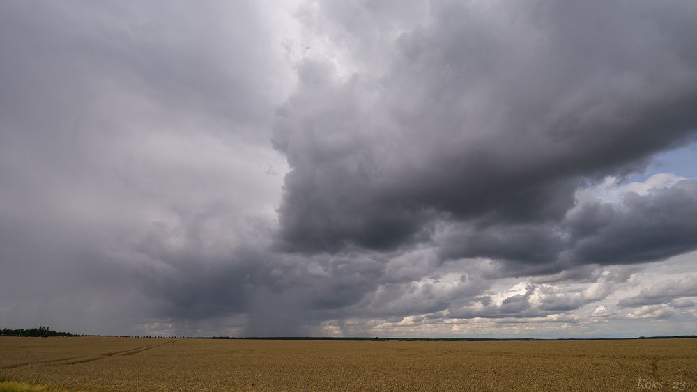 Wieder Regenzeit