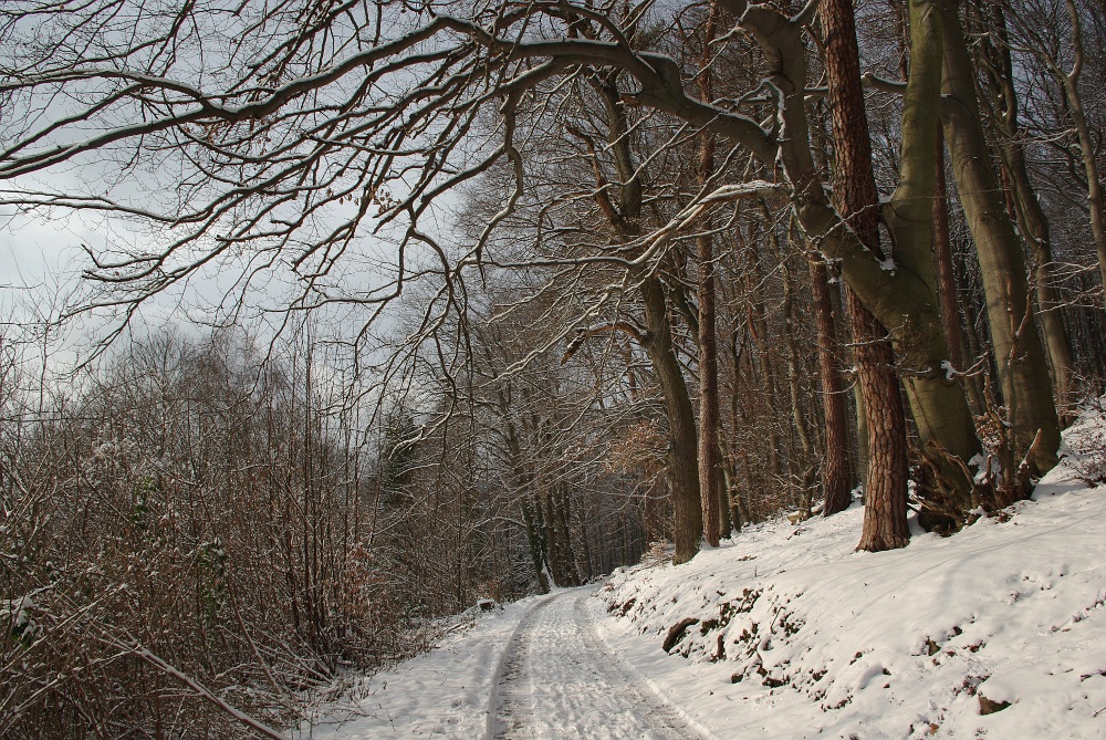 Wieder richtig Winter