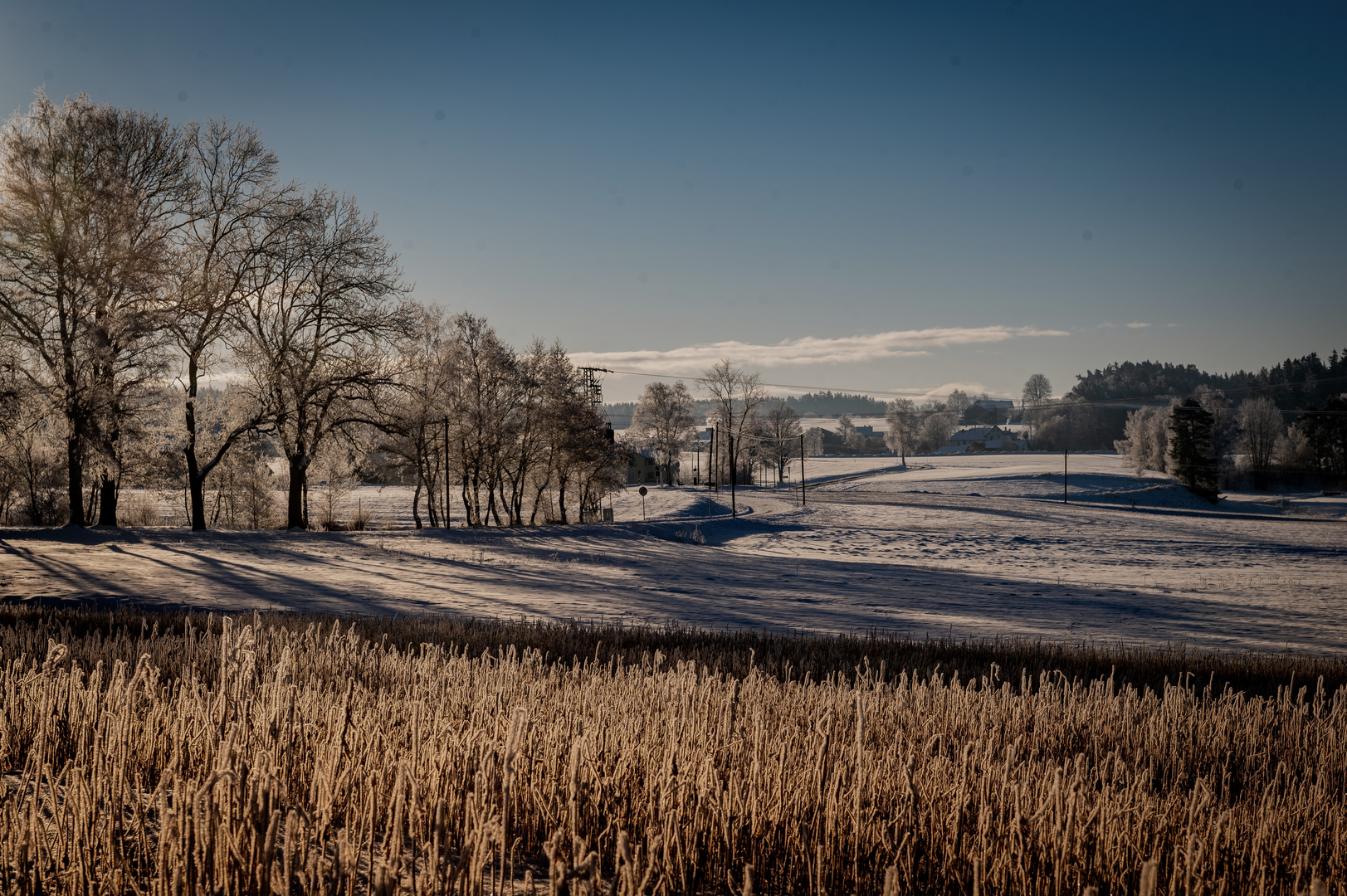 Wieder Schnee!