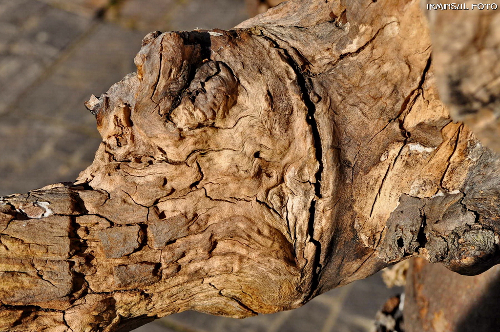 Wieder so ein Holz - diesmal am Gartengeist