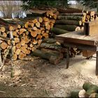 Wieder viel Holz vor der Hütten...