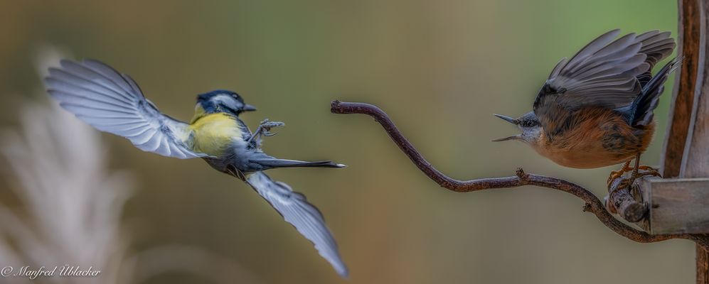wieder viel los heute ...