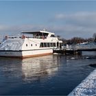 Wieder viel Wasser in der Elbe