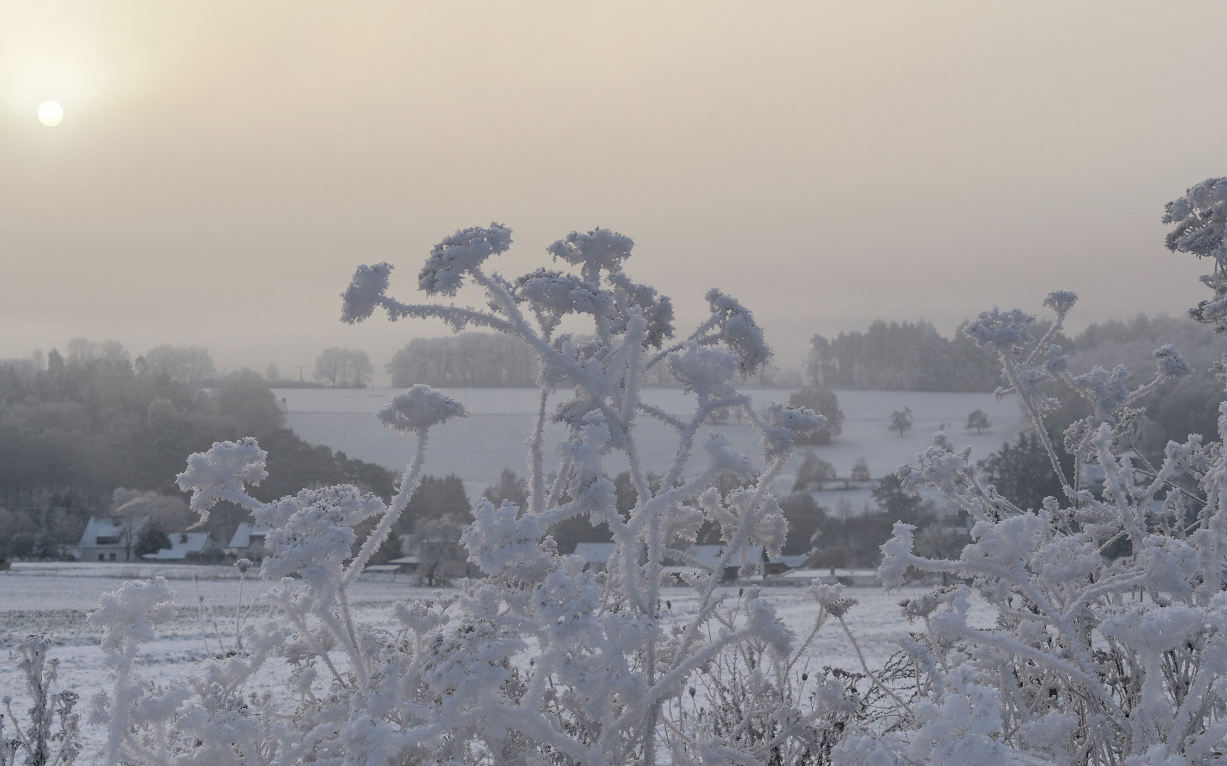 Wieder vom Winter