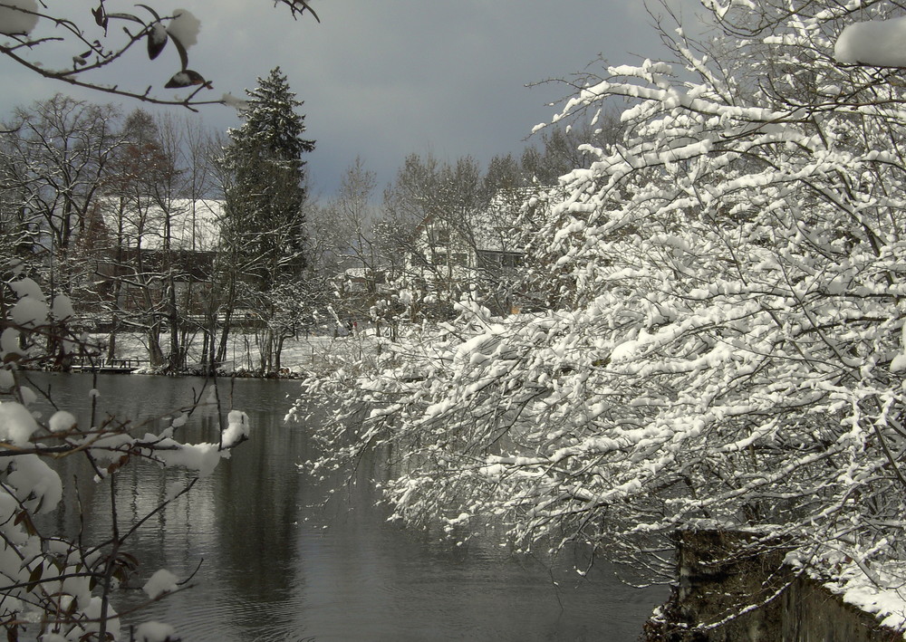 Wieder von grün auf weiss