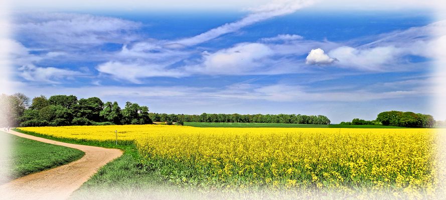 WIEDER WAR HEUTE EIN SCHÖNER TAG IM FRÜHLING....