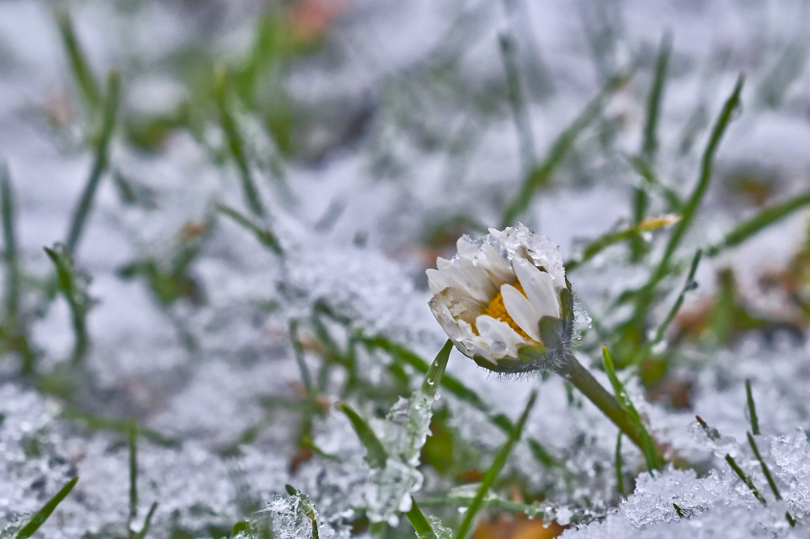 Wieder Winter