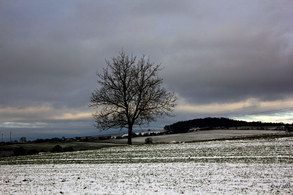 Wieder Winter