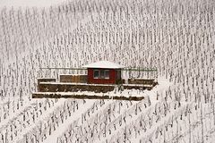 Wieder Winter im Weinberg