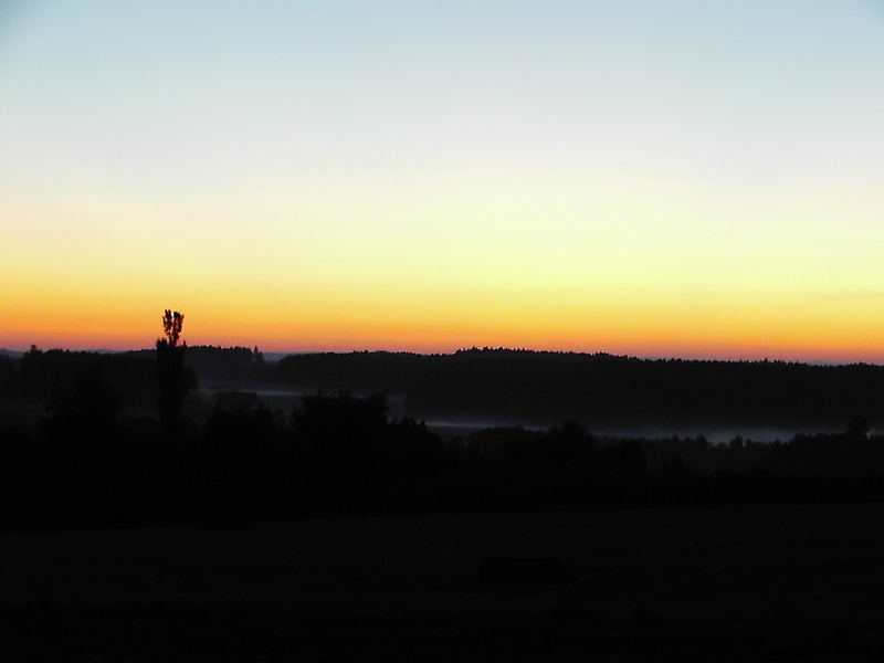 Wieder zu früh erwacht!