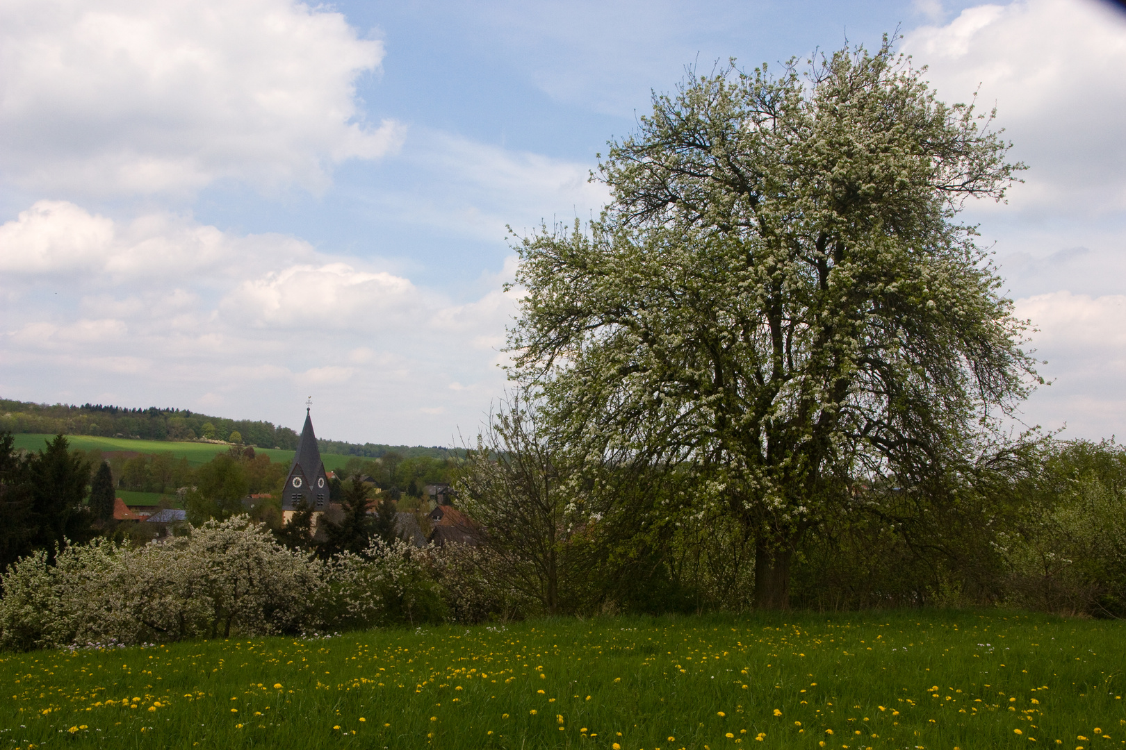 Wieder zu Hause - im Dörfchen