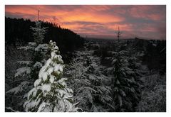 Wieder zurück aus dem verschneiten Harz