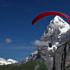 Wieder zurück aus der Schweiz