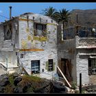 Wiederaufbau nach dem Brand ( Valle Gran Rey / La Gomera ) 2014 - 1