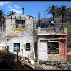 Wiederaufbau nach dem Brand ( Valle Gran Rey / La Gomera ) 2014 - 2