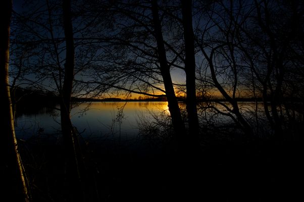 .... Wiedergeburt....