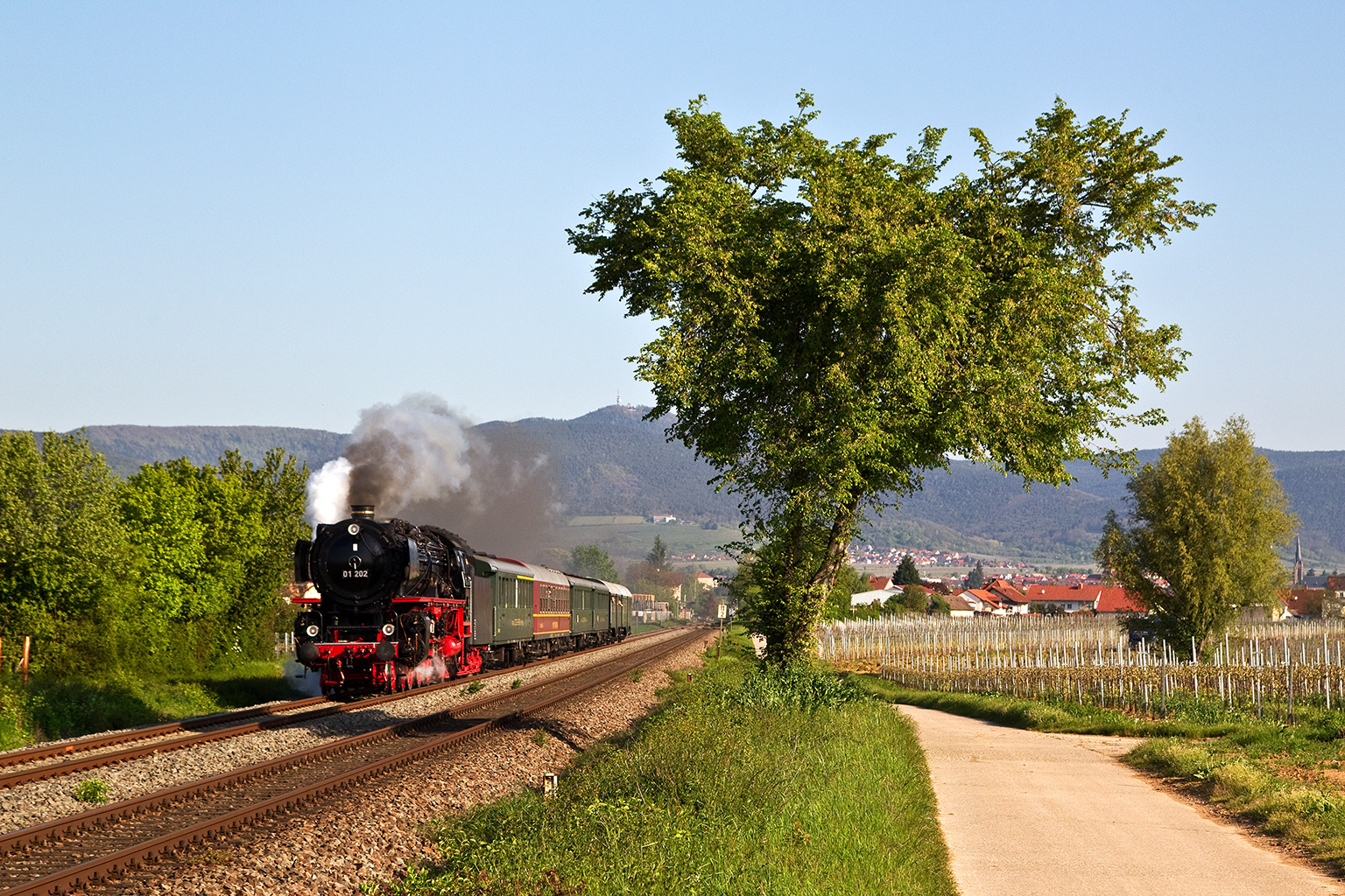 Wiederholungstäter