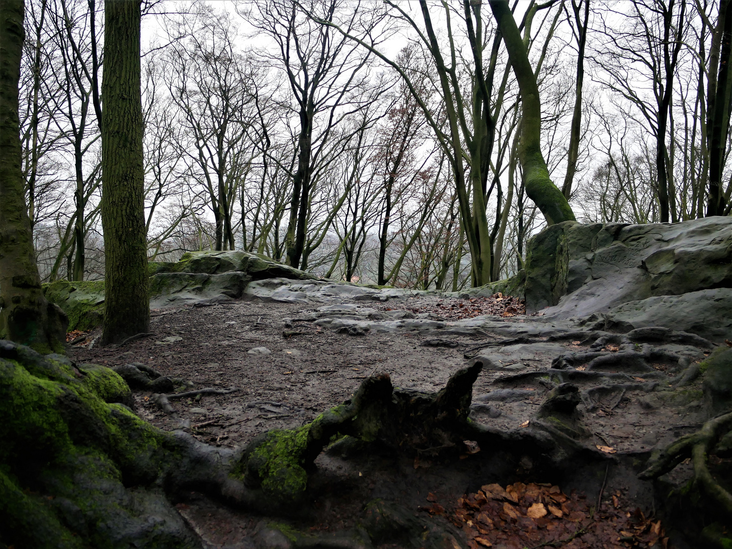 Wiederholungstat: Wanderung im Februar 2022 - Die Hexenküche in Tecklenburg