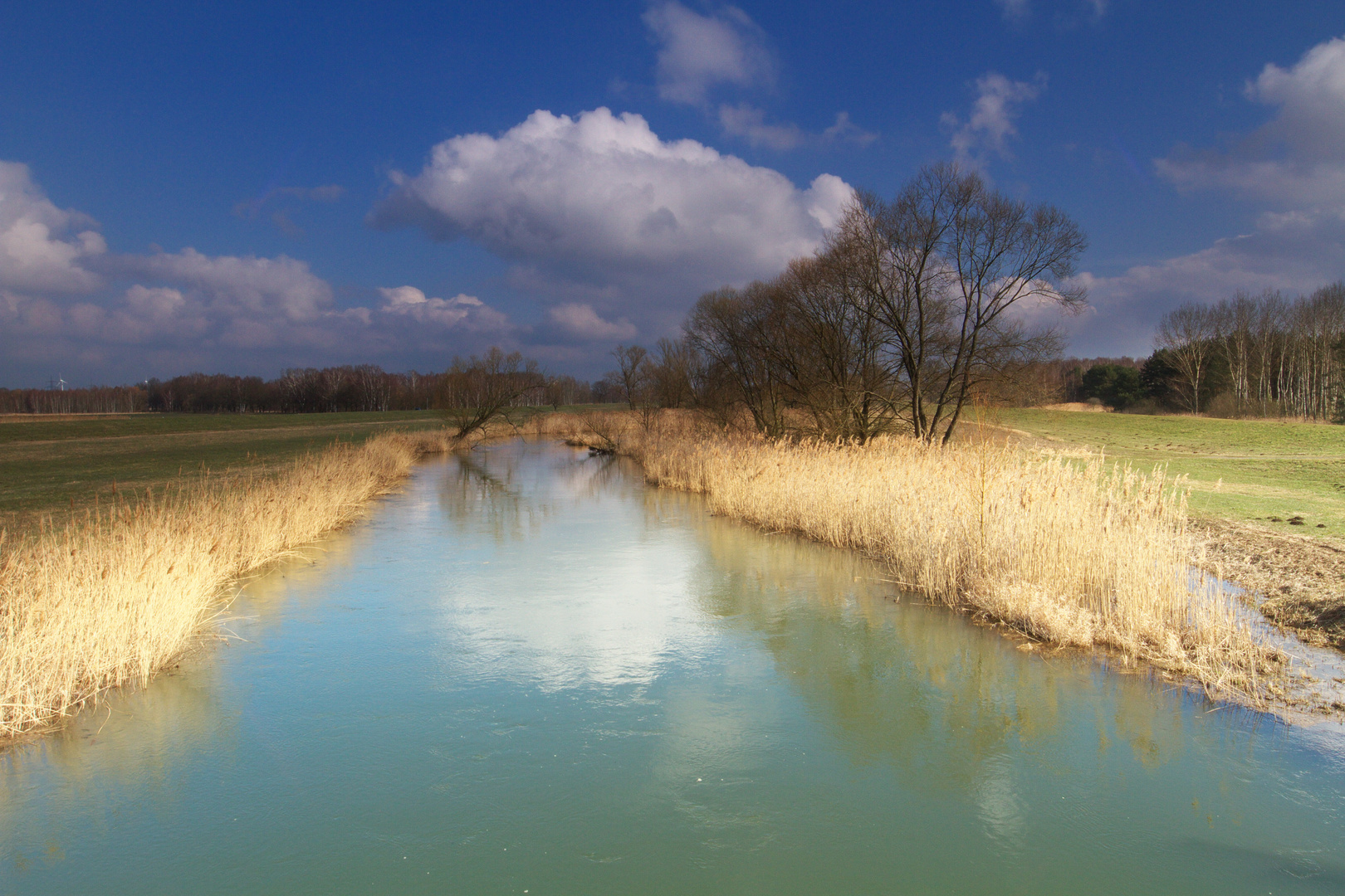 ..wiedermal Spreewald....