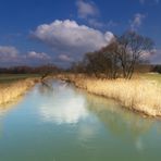 ..wiedermal Spreewald....