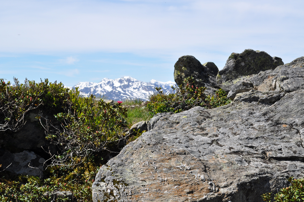 Wiedersberger Horn (5)