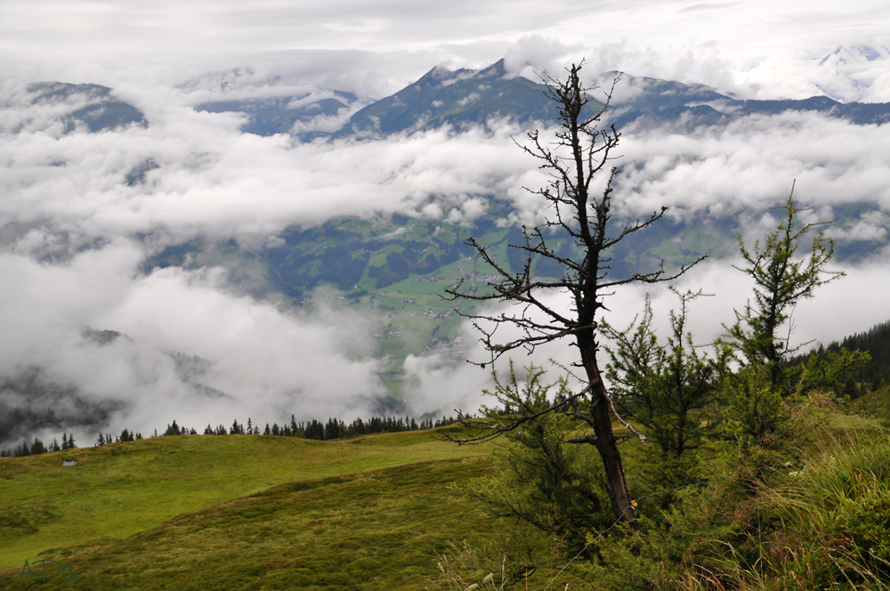 Wiedersberger Horn_4