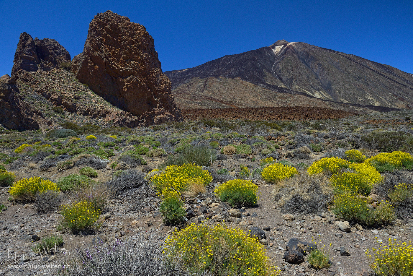 Wiedersehen mit dem Teide