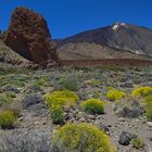 Wiedersehen mit dem Teide