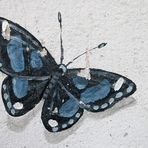 Wiedersehen mit der Gräphin: Der Schmetterling