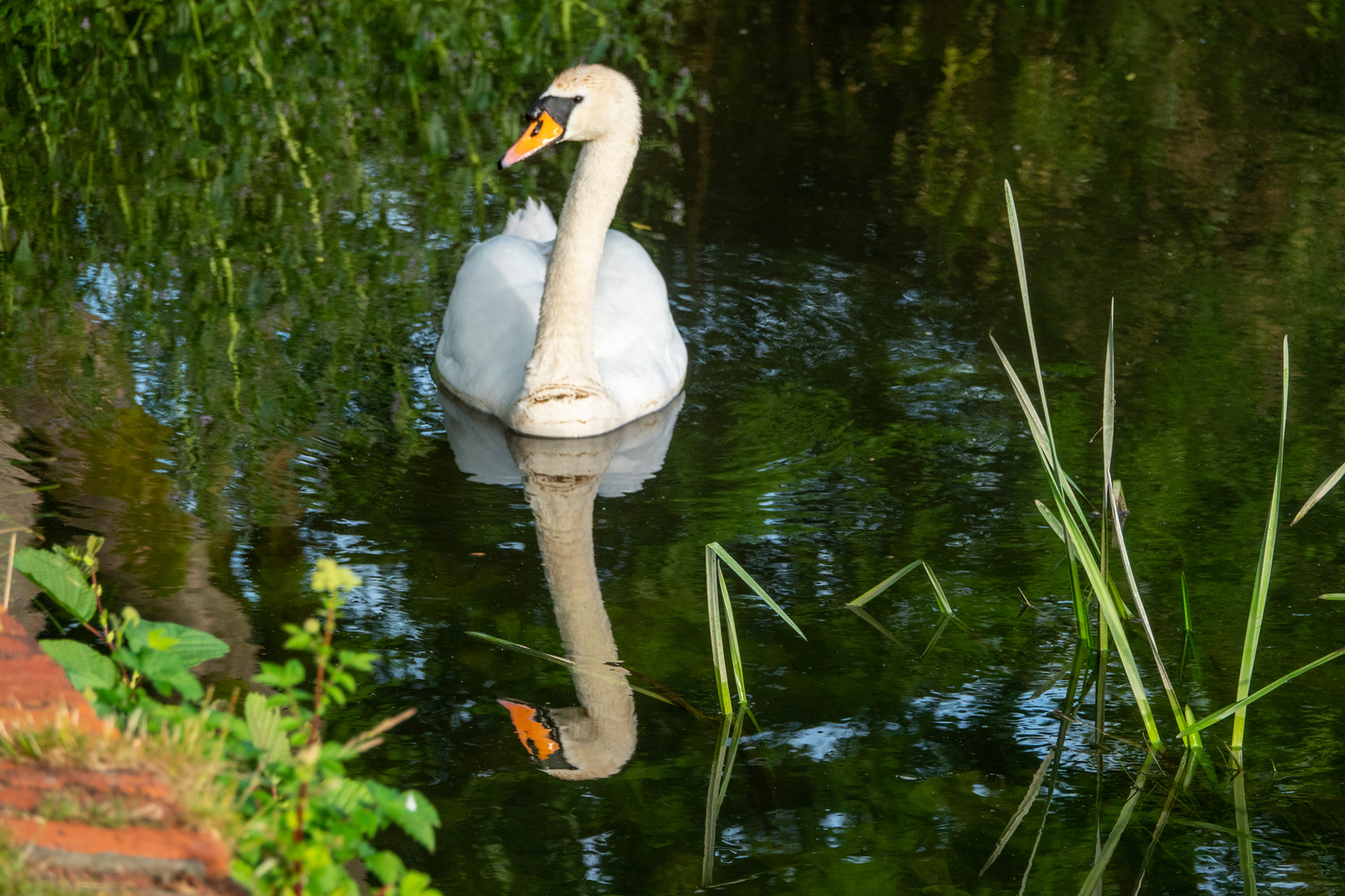 Wiederspieglung