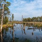 Wiedervernäßtes Moor - Pietzmoor