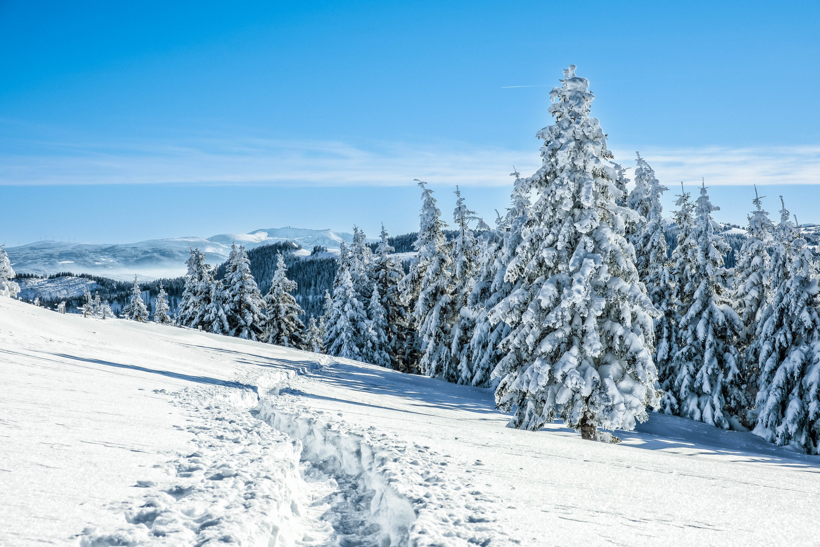 Wiedneralm