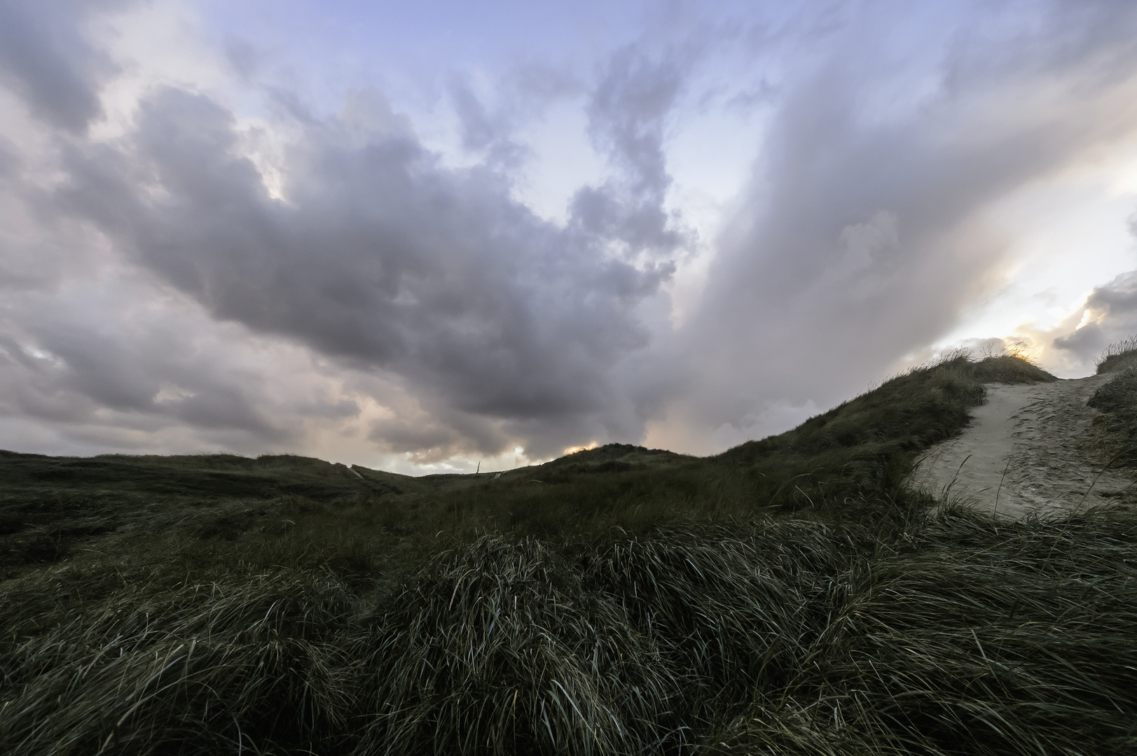 Wiegen im Wind