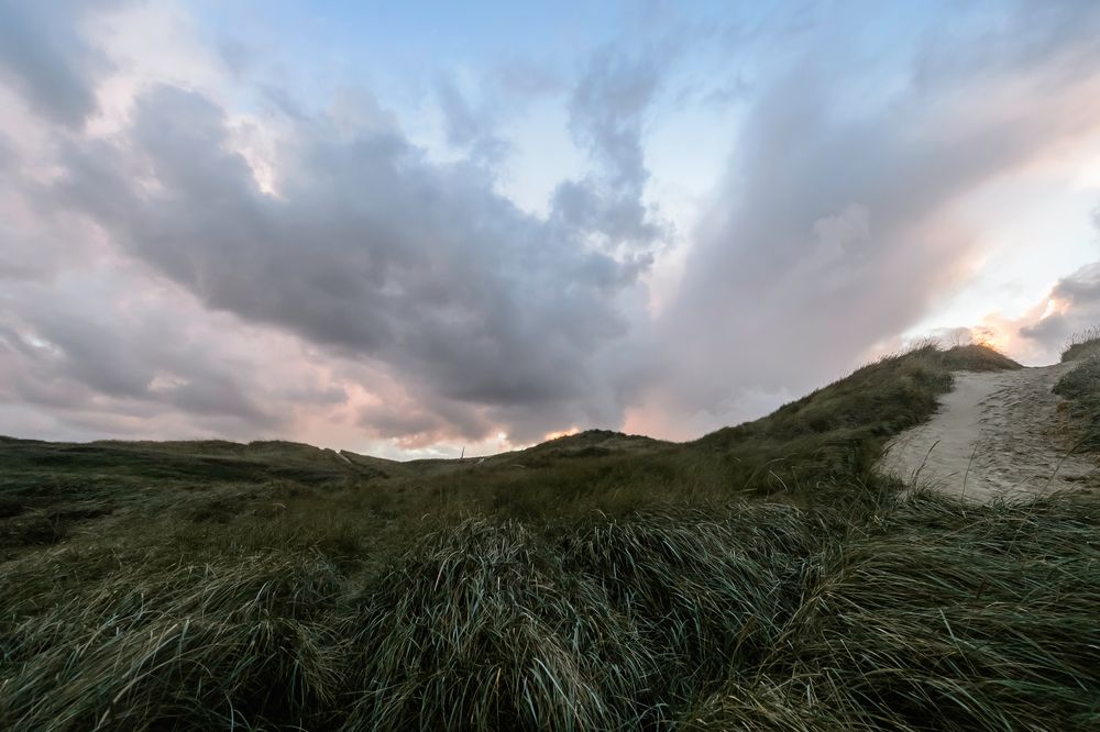 Wiegen im Wind