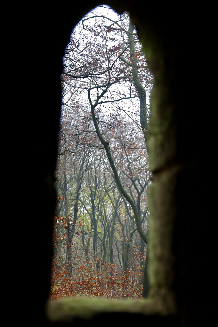 Wiehengebirge - Moltketurm - Durchblick