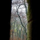 Wiehengebirge - Moltketurm - Durchblick