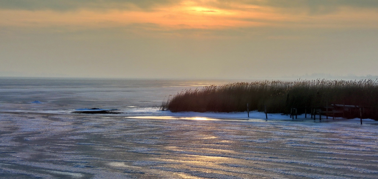 Wieker Bodden