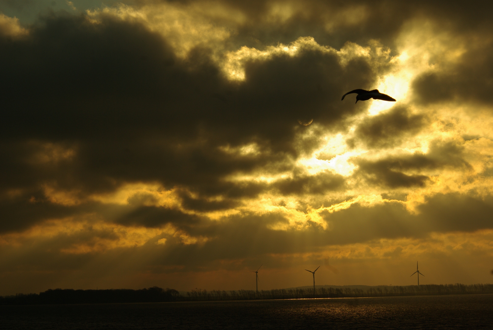 Wieker Sonnenaufgang