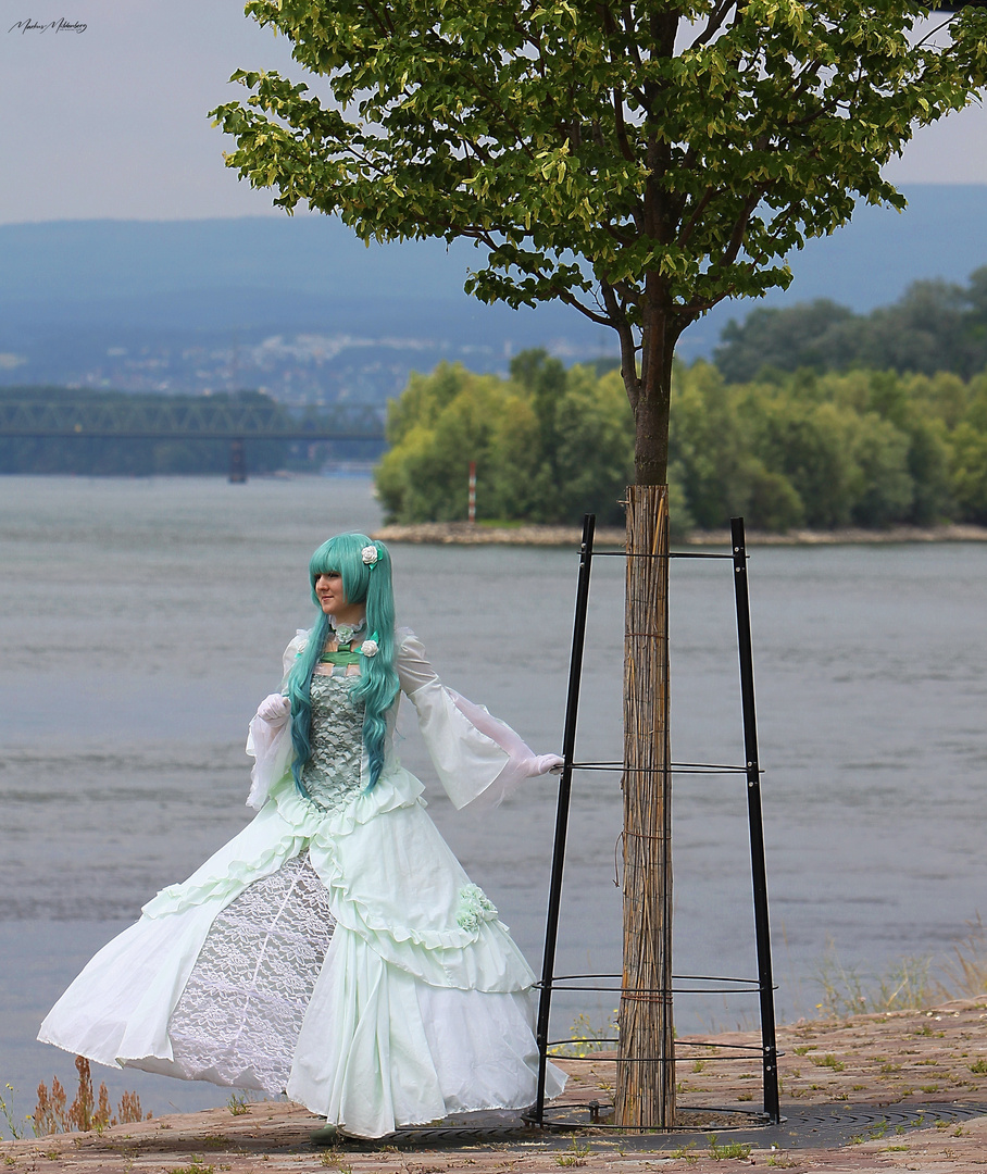 WieMaiKai 2014, am Rhein mit Mikumi