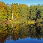 Wiembecke Oberer Teich 