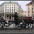 Wien 2008 (4)