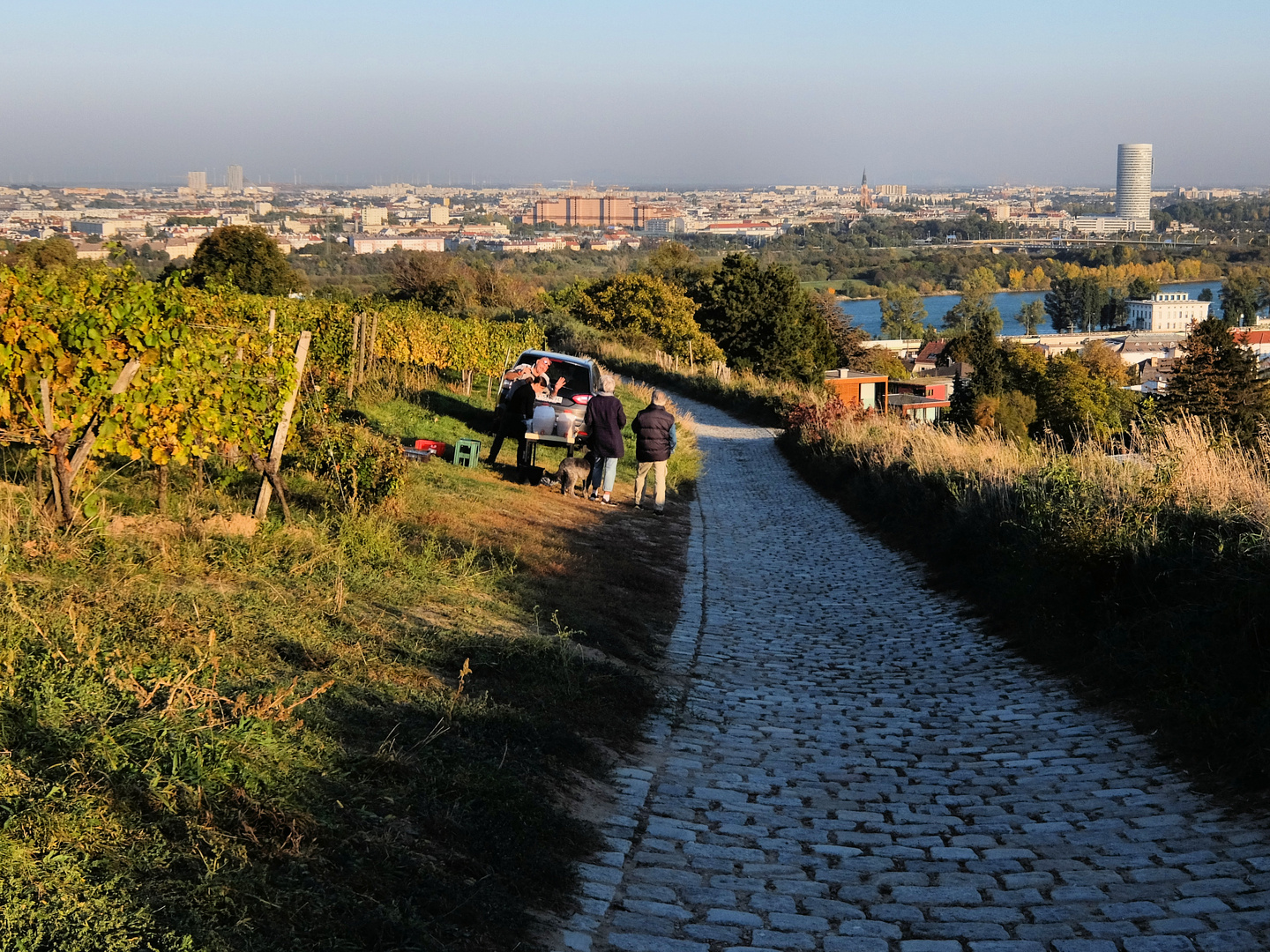 Wien: an der Donau, wo der Wein blüht .......