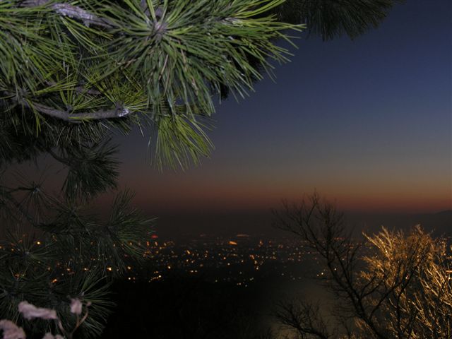 Wien bei Nacht