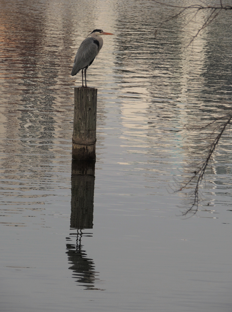 Wien: Donau-City 4