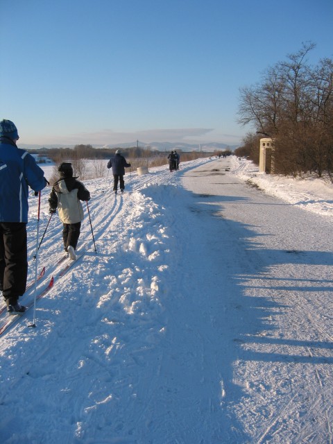 Wien, Donauinsel